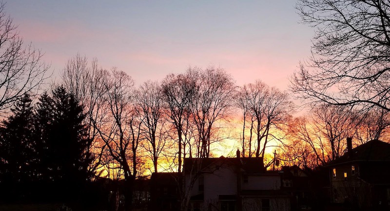 Photo of a pink sunrise with the silohuette of trees and houses.